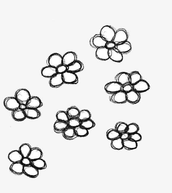 花瓣的简笔画图片大全 花瓣的简笔画图片大全大图