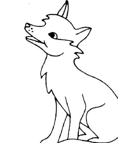 小狐狸简笔画 小狐狸简笔画彩色