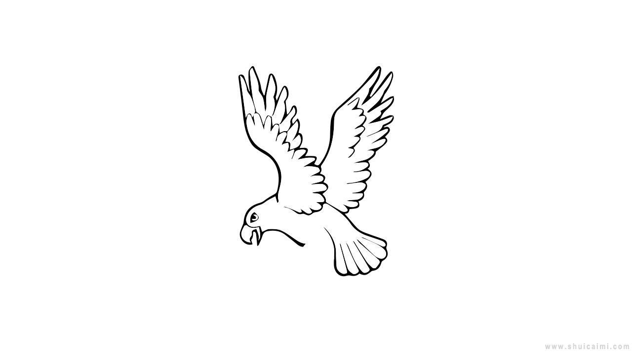 老鹰简笔画怎么画 老鹰简笔画简单