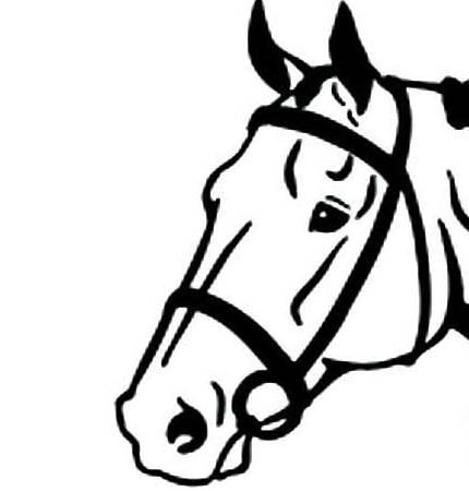 简笔画马 简笔画马的画法最简单