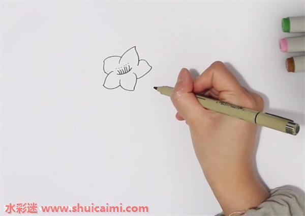 桃花怎么画 桃花简笔画漂亮卡通