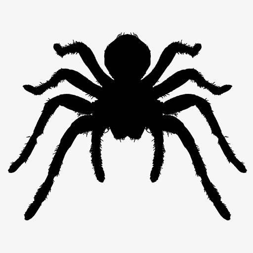 蜘蛛简笔画图片大全 儿童蜘蛛简笔画图片大全