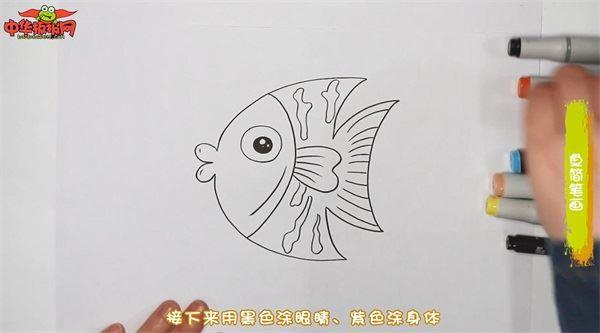 鱼怎么画 鱼简笔画简单又漂亮彩色