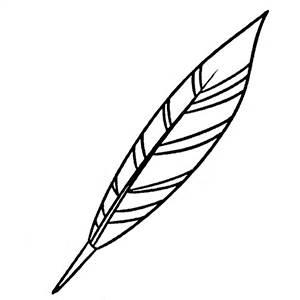 鹅毛笔简笔画大全教程 鹅毛笔的简笔画