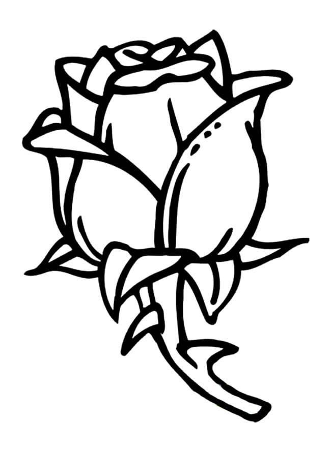 画植物简笔画 儿童画植物简笔画