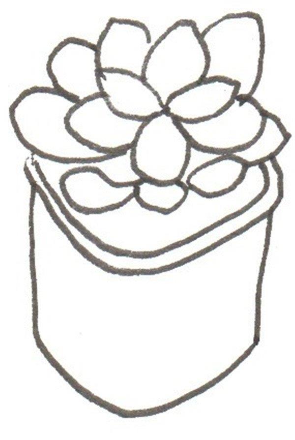 桃美人的简笔画怎么画 桃美人的简笔画顺序