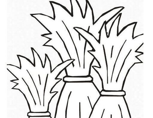 小草简笔画 小草简笔画简单又漂亮