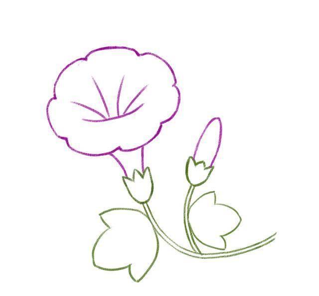 喇叭花简笔画图片大全 喇叭花简笔画图片大全彩色