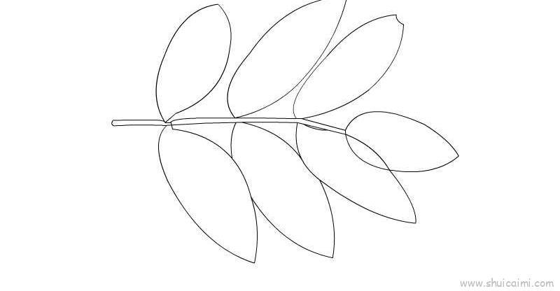 槐树叶子儿童画怎么画 槐树叶子简笔画简单