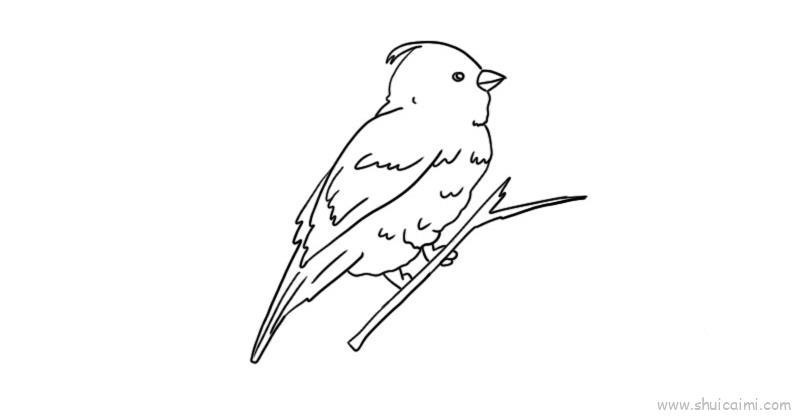 麻雀儿童画怎么画 麻雀简笔画简单又好看