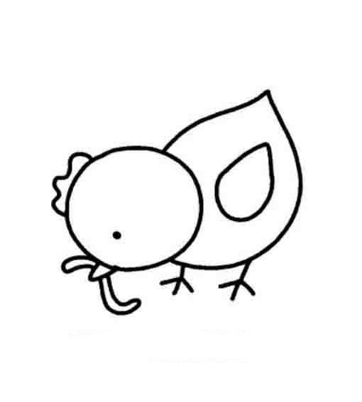 鸡简笔画 鸡简笔画图片