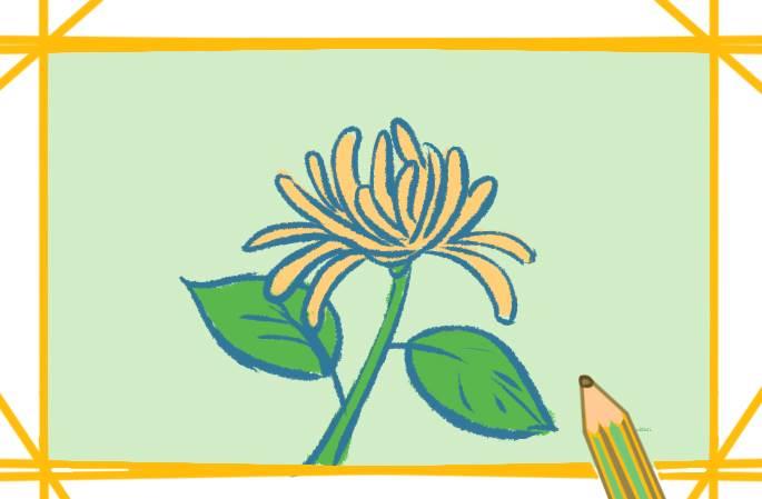菊花的简笔画 菊花的简笔画图片