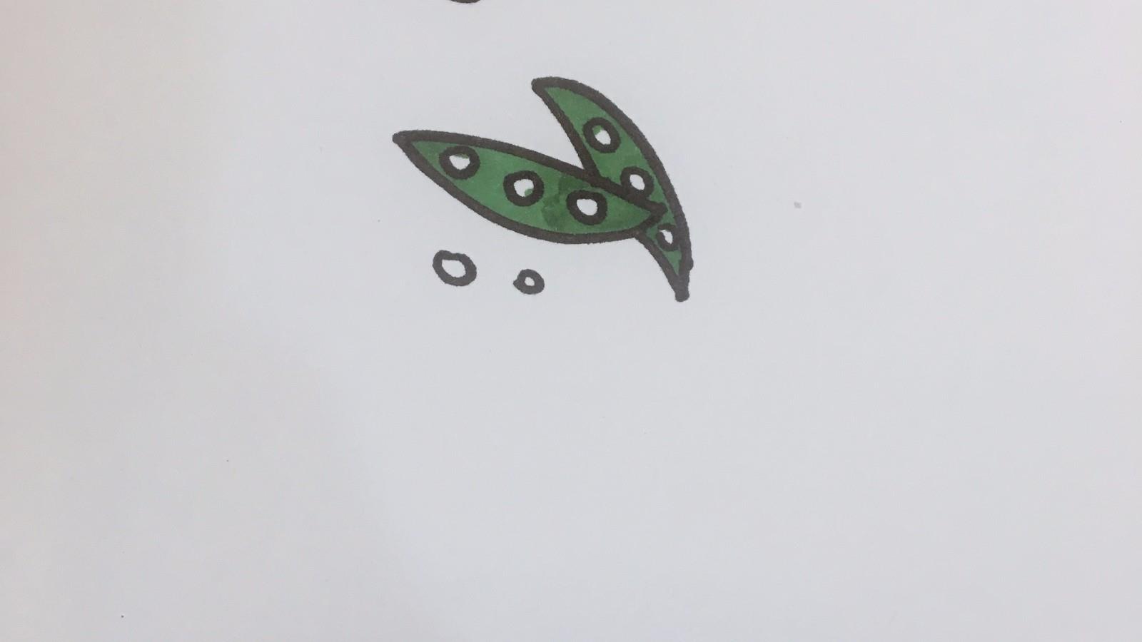 豆角简笔画怎么画 豆角简笔画简单又好看