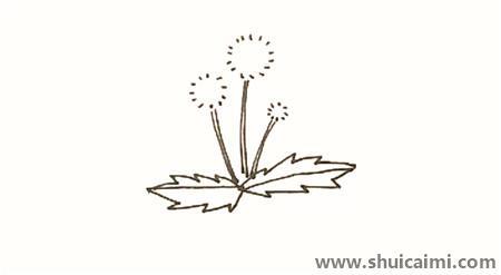 彩色蒲公英儿童简笔画