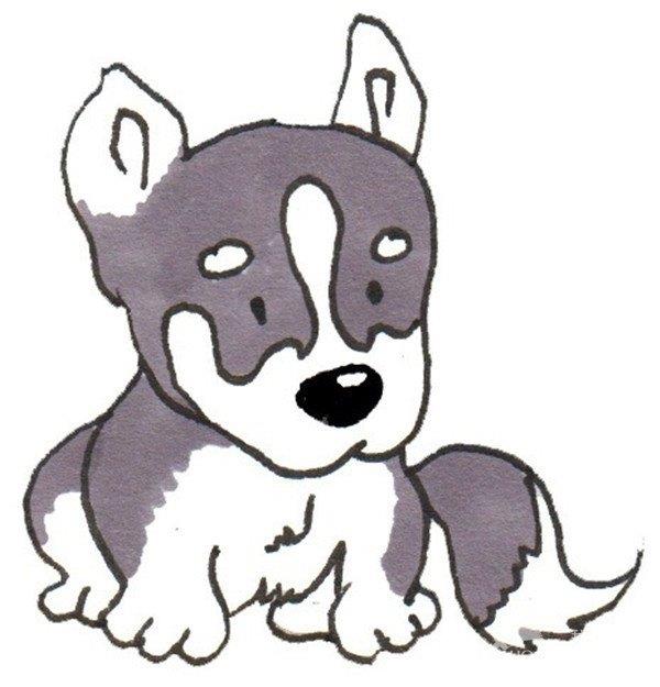 哈士奇的简笔画怎么画 哈士奇的简笔画图片大全