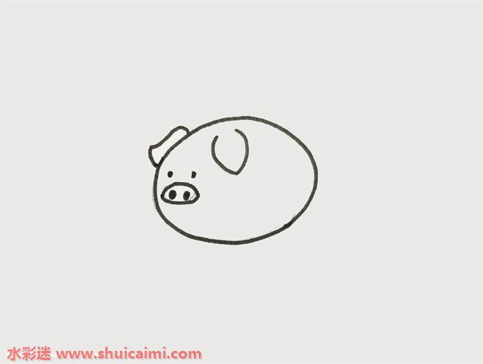 小猪怎么画 小猪简笔画图片彩色