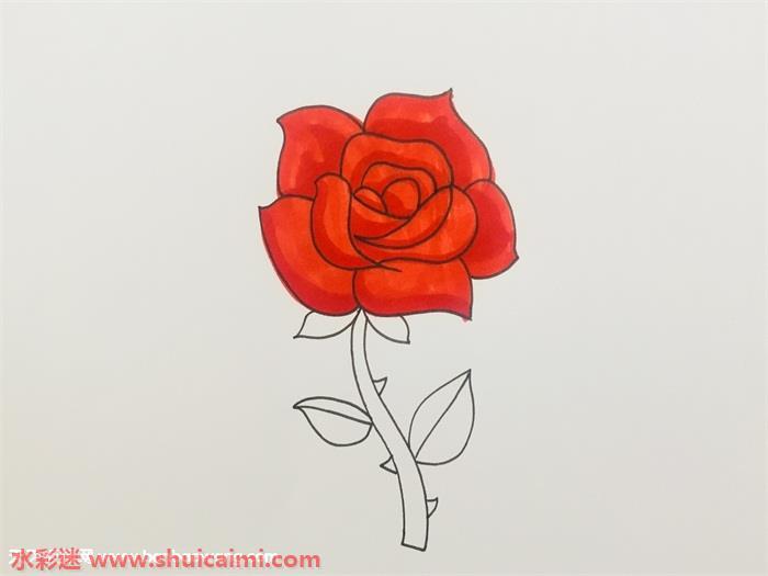 盛开玫瑰花怎么画 盛开玫瑰花简笔画步骤图