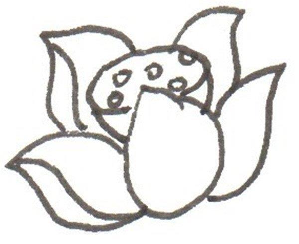 荷花的简笔画怎么画 荷花的简笔画步骤