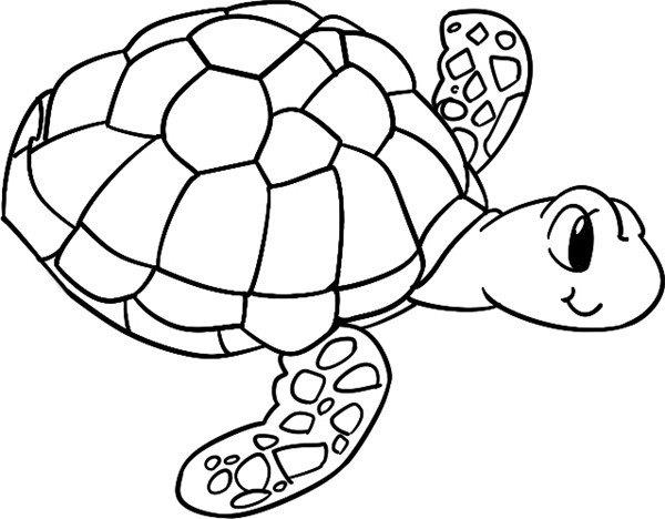 游行的海龟的简笔画怎么画 游行的海龟简笔画图片