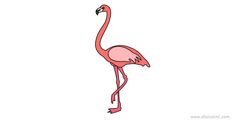 火烈鸟儿童画怎么画 火烈鸟简笔画好看