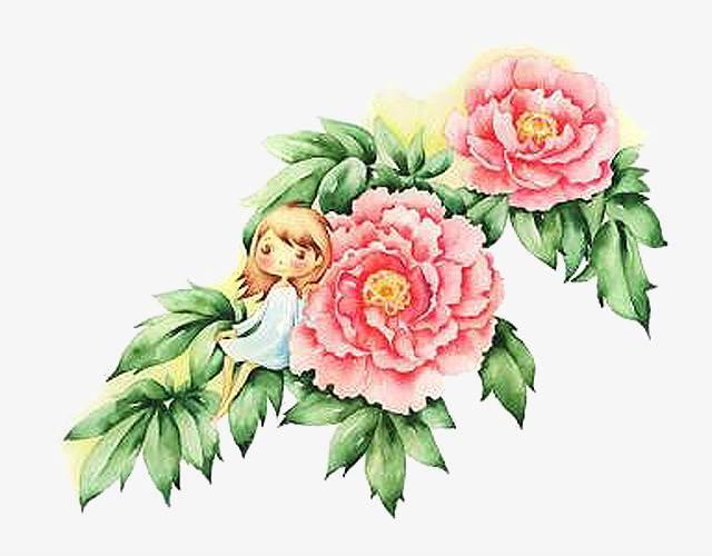 芙蓉花简笔画 芙蓉花简笔画简单