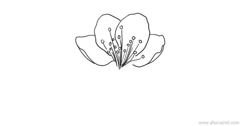 桃花儿童画怎么画 桃花简笔画画法