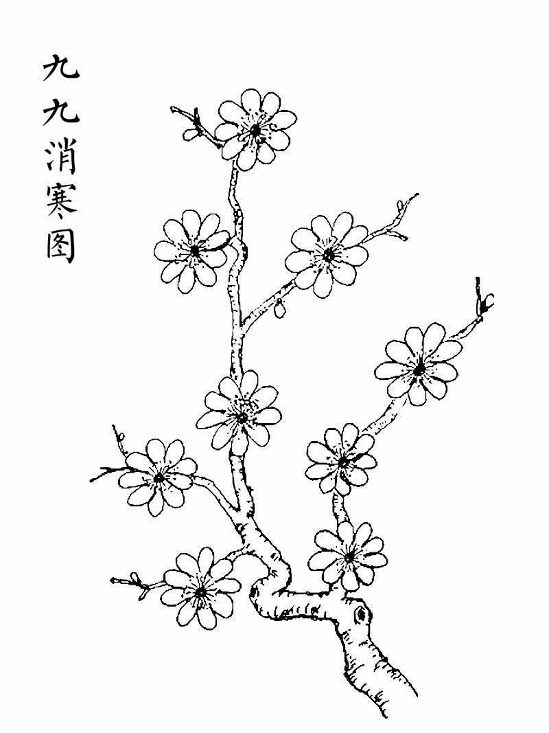 梅花树简笔画图片大全 梅花树简笔画图片大全儿童画