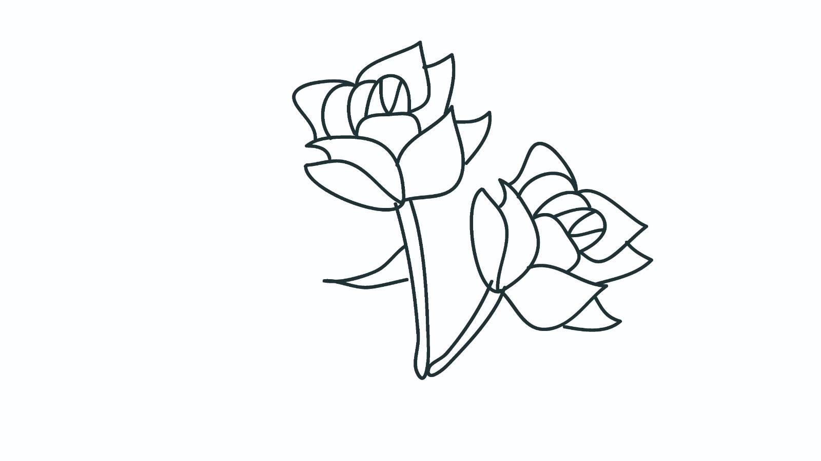 玫瑰的简笔画怎么画 玫瑰简笔画简单