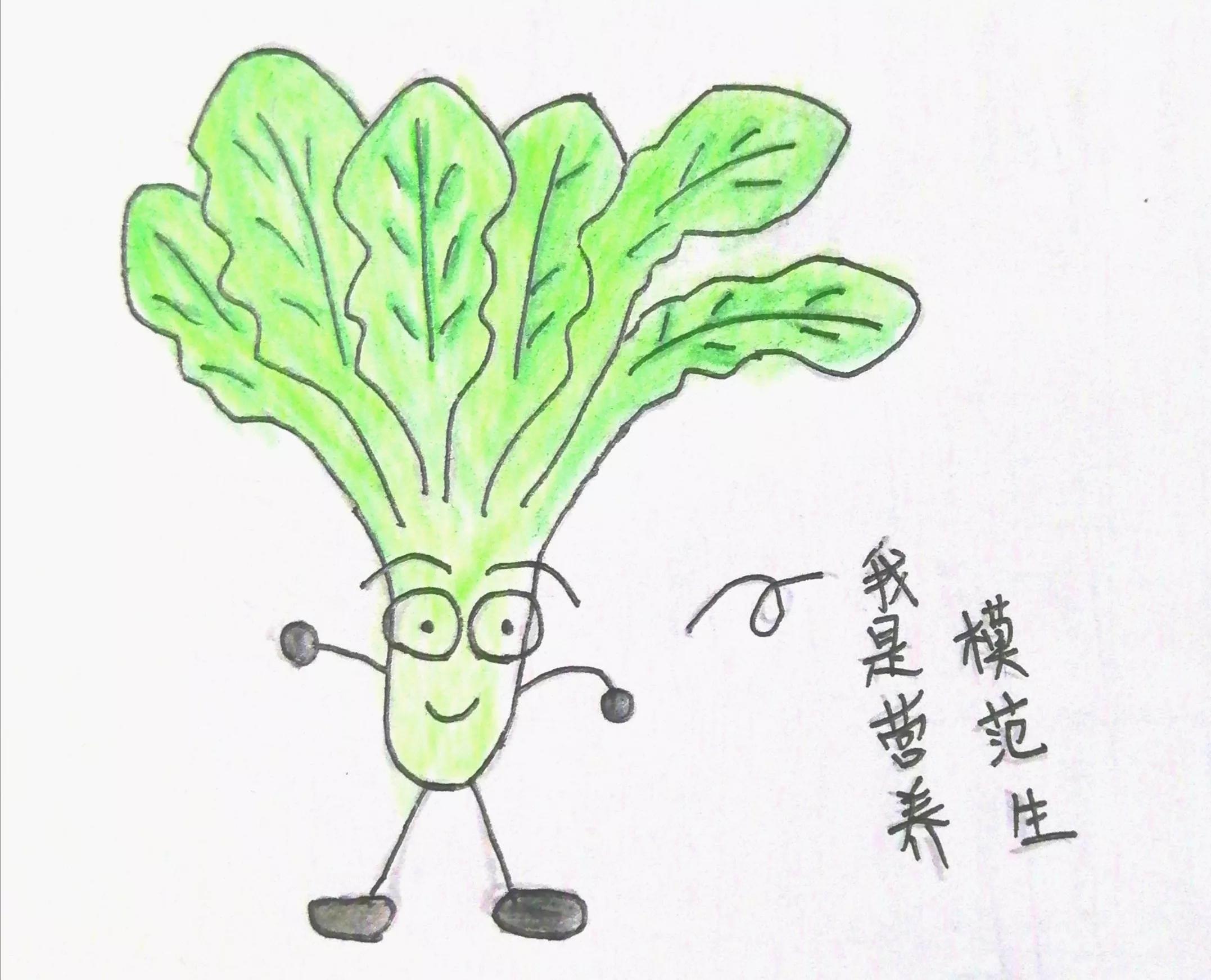 菠菜简笔画 菠菜简笔画图片带颜色