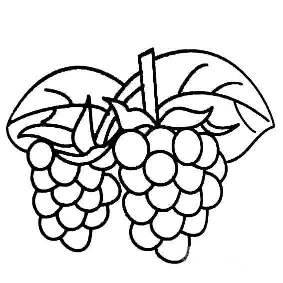 画水果的简笔画 我想画水果的简笔画