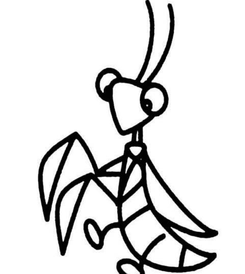 螳螂简笔画 螳螂简笔画简单