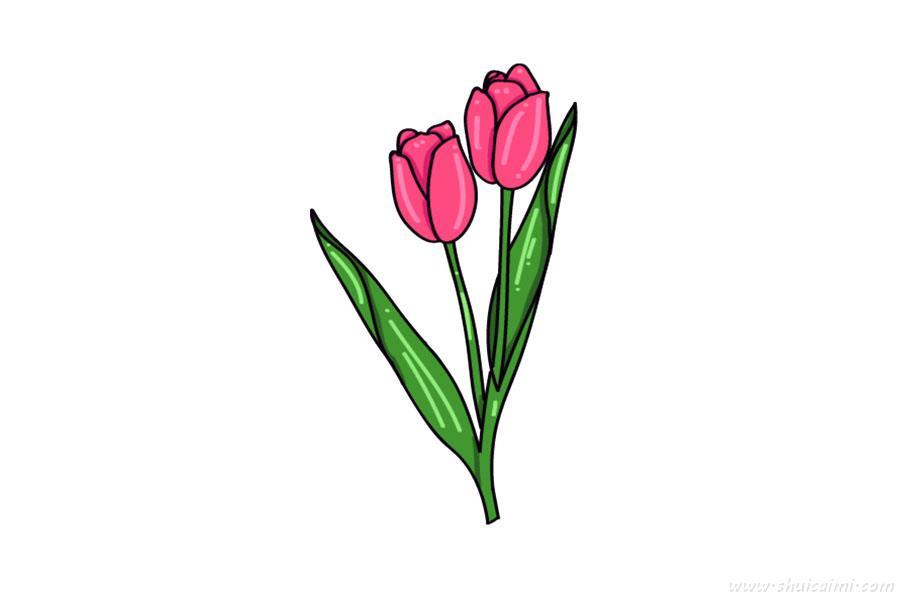 花朵郁金香怎么画 花朵郁金香简笔画步骤图