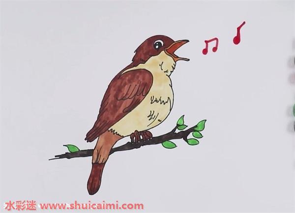 夜莺怎么画 夜莺简笔画画法