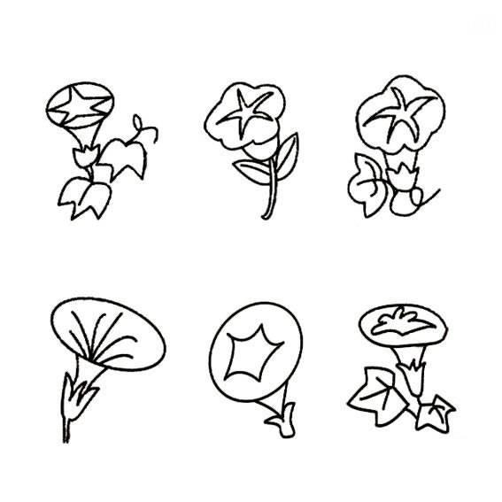 牵牛花简笔画 牵牛花简笔画图片