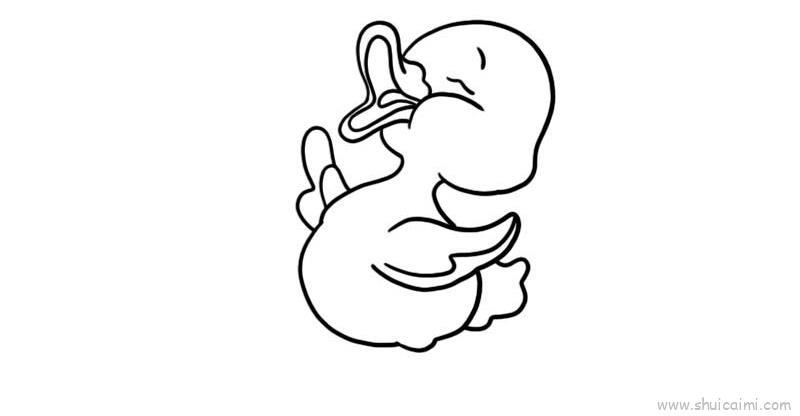 小鸭子儿童画怎么画 小鸭子简笔画图片大全