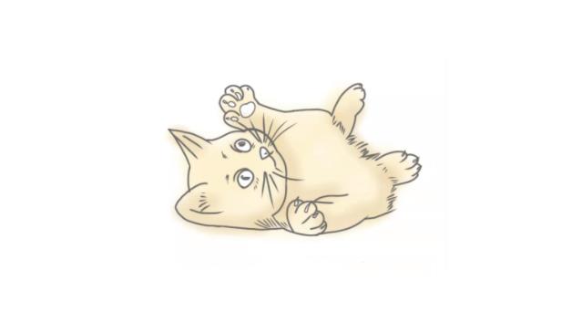猫简笔画怎么画 猫简笔画顺序
