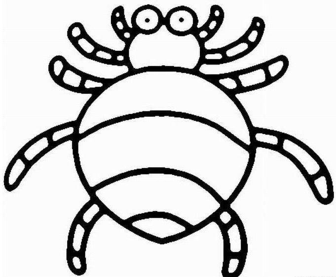 蜘蛛的简笔画 蜘蛛的简笔画图片大全