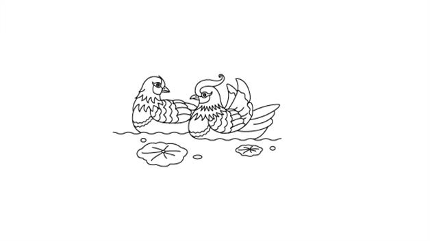 鸳鸯简笔画怎么画 鸳鸯简笔画步骤