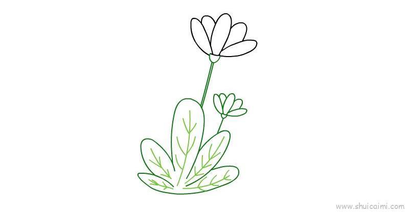 植物儿童画怎么画 植物简笔画简单绘画教程