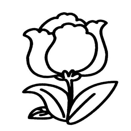 花简笔画 花简笔画罂粟花