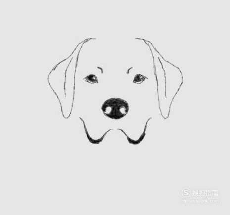 狗头简笔画 狗头简笔画可爱图片