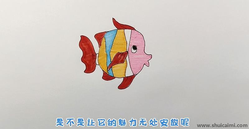 小丑鱼儿童画怎么画 彩色小丑鱼简笔画图片大全