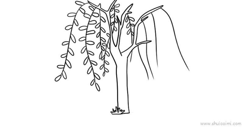 柳树儿童画怎么画 柳树简笔画顺序