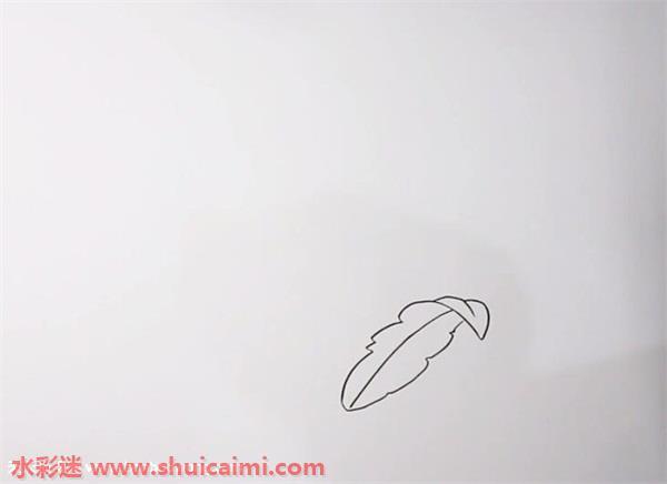 蒲公英怎么画 蒲公英简笔画步骤图