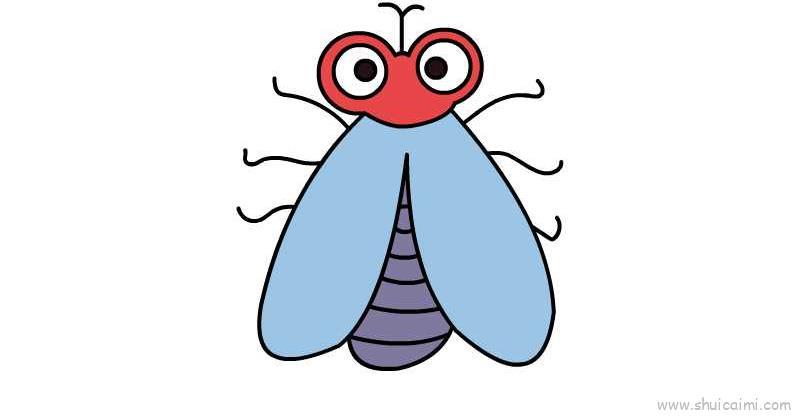 苍蝇儿童画怎么画 苍蝇简笔画步骤