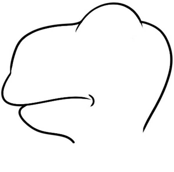 头简笔画 老虎头简笔画