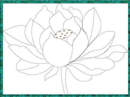 荷花简笔画图片 荷花简笔画图片大全简单漂亮