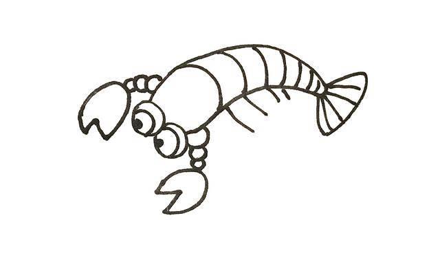 龙虾简笔画 龙虾简笔画彩色