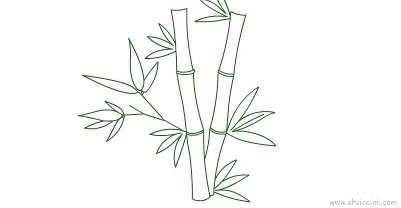 竹子儿童画怎么画 竹子简笔画顺序
