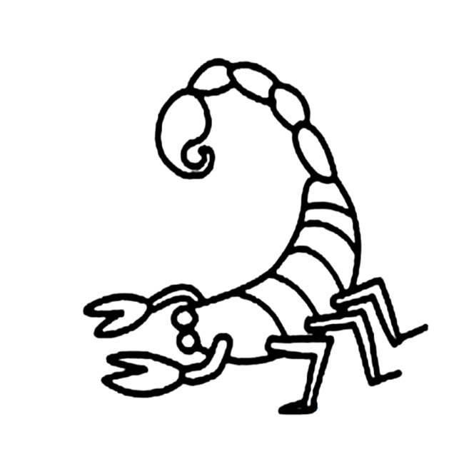 昆虫简笔画 昆虫简笔画大全带颜色